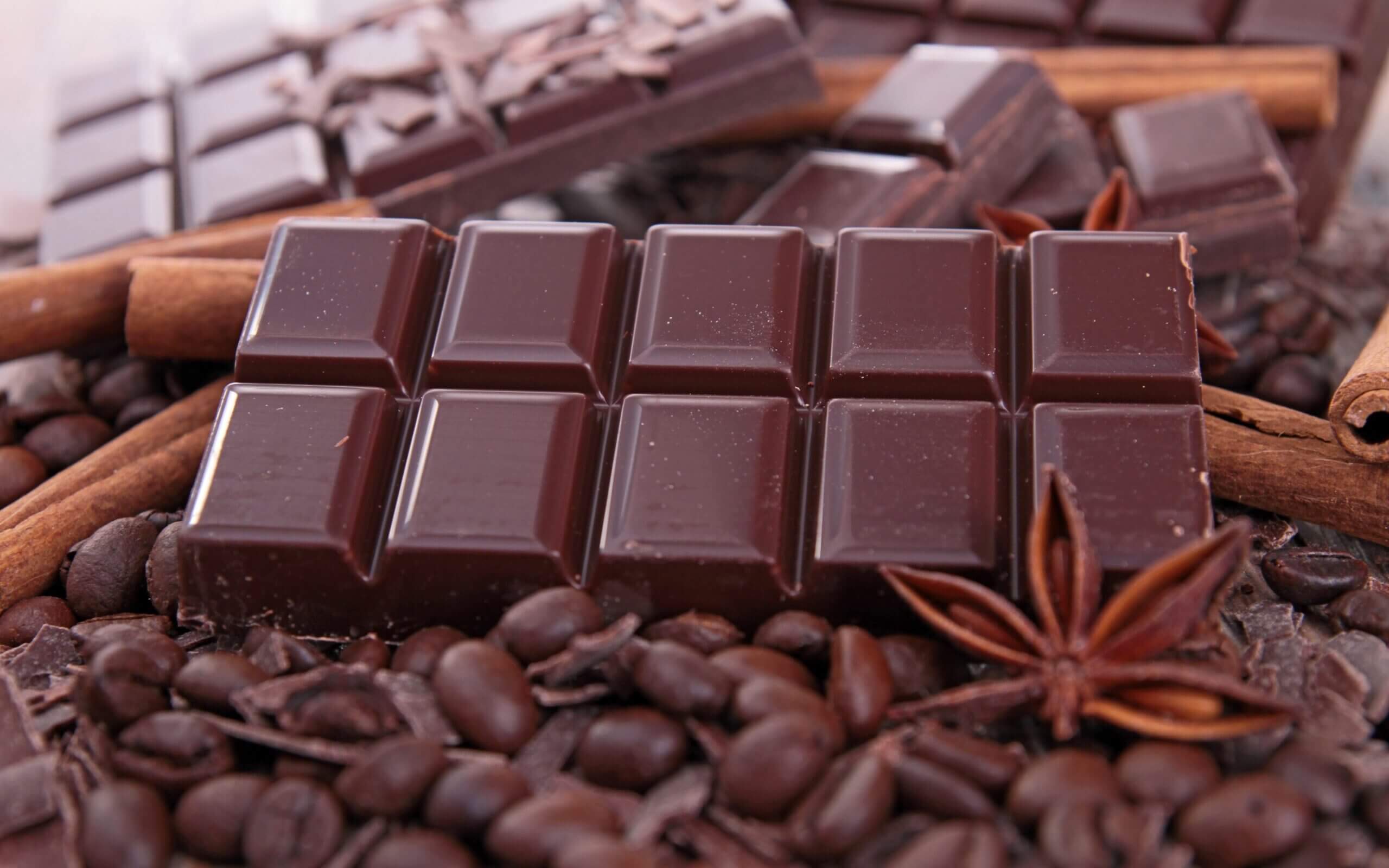 Chocolate Buyer’s Guide